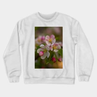 Blossoms Crewneck Sweatshirt